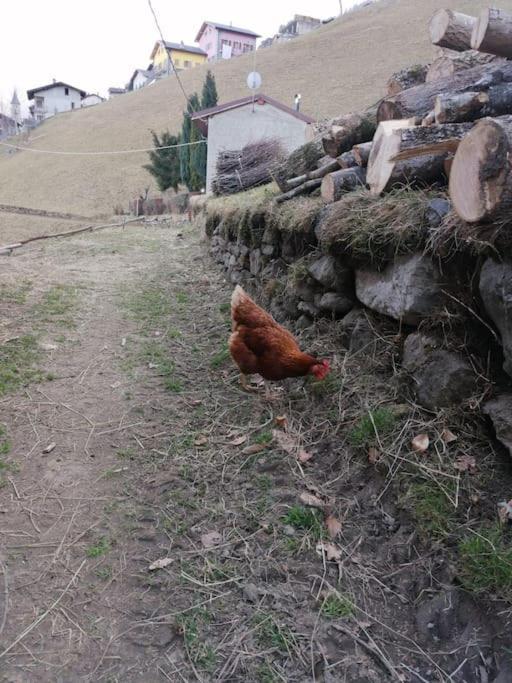 Graziosa, Casetta In Valgerola Rasura Dış mekan fotoğraf