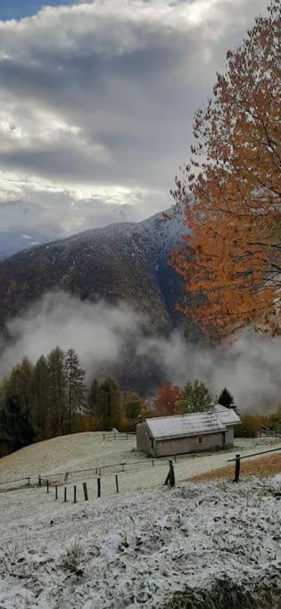 Graziosa, Casetta In Valgerola Rasura Dış mekan fotoğraf